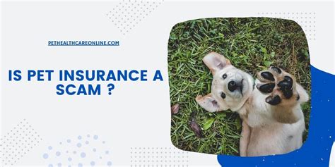 ifl pet insurance scam.